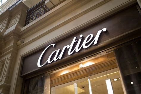 cartier torino curriculum